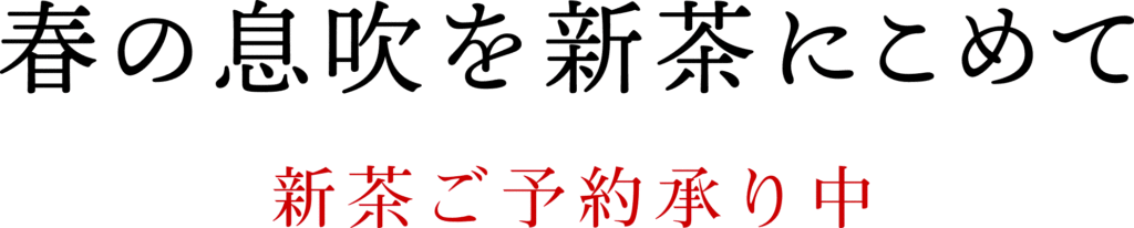 春の息吹を新茶にこめて 新茶ご予約承り中